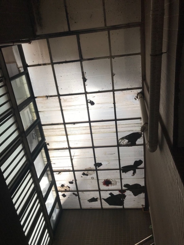 陽光板停車棚車棚不易清洗.jpg 陽光板停車棚車棚不易清洗.jpg