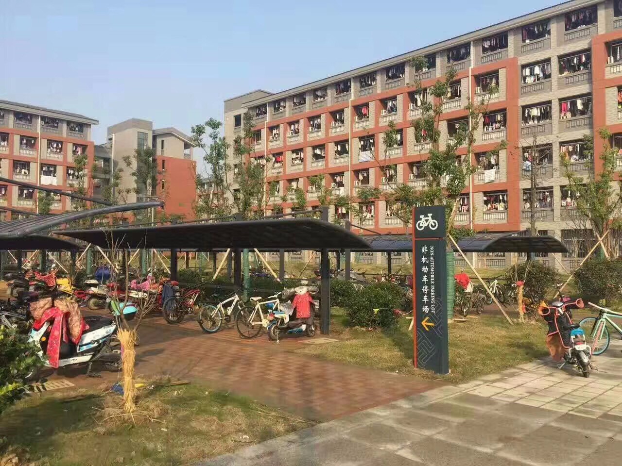 小區建停車棚，綠化用地和車棚的占地起了沖突。